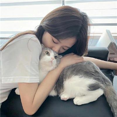 文豪野犬剧场版